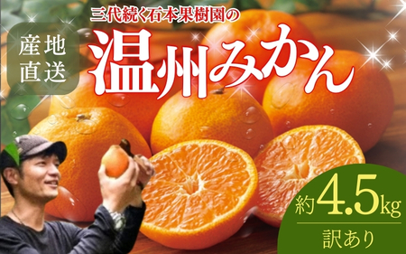[先行予約][訳あり]石本果樹園の美味しい温州みかん 約4.5kg 35〜40玉前後[2025年11月初旬から1月下旬までに順次発送] / みかん フルーツ くだもの 果物 温州みかん[min020]