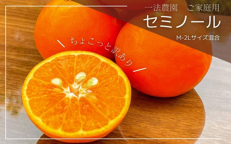 一法農園のセミノール ご家庭用 M-2Lサイズ 5kg ちょこっと訳あり[2026年4月上旬〜4月下旬までに順次発送] / みかん ミカン 蜜柑 セミノール フルーツ 柑橘 果物 [mkz007B]
