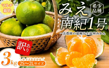 [先行予約]みえ南紀1号 一法農園の 超極早生温州みかん 2S-2L サイズ混合 3kg ご家庭用 ちょこっと訳あり マルチ栽培[2025年9月中旬〜10月中旬までに順次発送] / みかん 蜜柑 極早生 数量限定 温州 ミカン フルーツ 果物 くだもの[mkz016A]