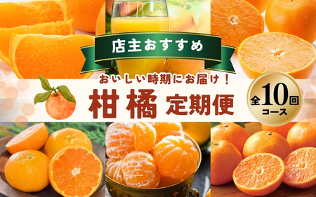 [全10回] 柑橘 定期便 石本果樹園 店主おすすめの柑橘セットをお届け! / フルーツ 果物 くだもの フルーツ定期便 くだもの セット みかん ミカン 温州みかん 不知火 せとか セミノール ポンカン カラマンダリン 甘夏 清見 オレンジ ジュース みかんジュース 果実飲料 産地直送 旬 人気 おすすめ 詰め合わせ お楽しみ 三重県 紀宝町[tkb509]