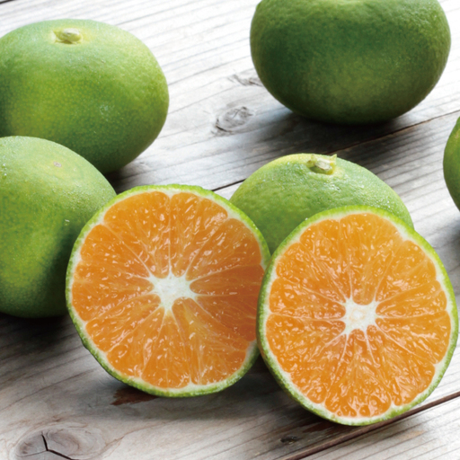 [先行予約]みえ紀南1号 小玉 ご家庭用 2Sサイズ以下混合 たにぐち農園の 超極早生 温州みかん (マルチ栽培) 3kg[2026年9月下旬〜順次発送][mtn107]