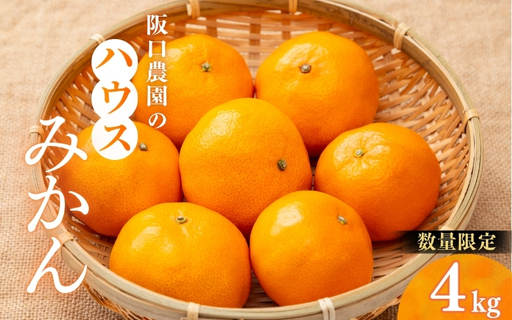 2S～2Ｌサイズ混合 4kg 阪口農園の ハウスみかん（マルチ栽培）【2026年7月中旬から7月末に順次発送予定】 / みかん 蜜柑 先行予約 数量限定 ミカン ハウス 温室【msa008】