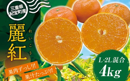 みかん ミカン 蜜柑 れいこう 麗紅 柑橘 果物 フルーツ / L-2L サイズ混合 萩野農園の麗紅(れいこう) 4kg [2025年1月末〜2月末までに順次発送][mhn002A]
