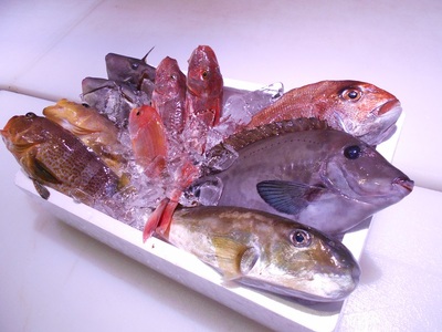 ＼朝どれ新鮮/ 鮮魚セット (小) 約3kg 目利きのプロが厳選した旬の魚をその日の内に発送! [nss404]