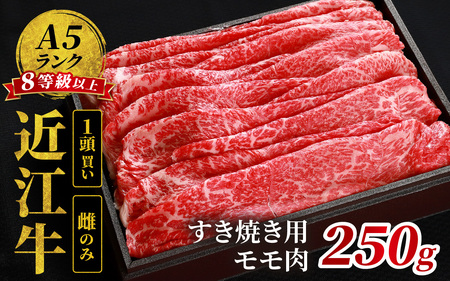 近江牛「かど萬」すき焼き用モモ肉 約250g 近江牛 近江牛 近江牛