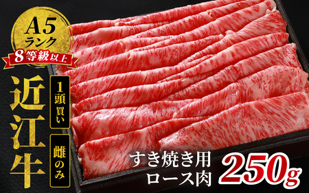 近江牛「かど萬」すき焼き用ロース肉 約250g 近江牛 近江牛 近江牛