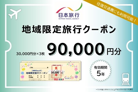 滋賀県大津市　日本旅行　地域限定旅行クーポン90,000円分 旅行券 旅行券 旅行券