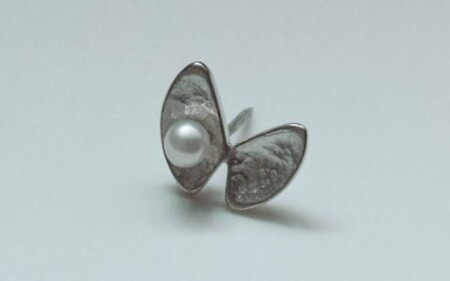 тΐ^ЂƗt Vo[su[`irLfUCj[JS001]