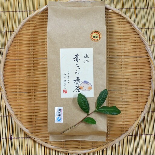 近江赤ちゃん番茶(300g×6本) 番茶[J009]