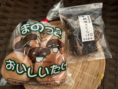 菌床しいたけ・乾燥キクラゲセット きのこ きのこ きのこ