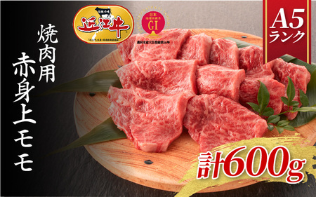 yߍ]A5Nzēp Ԑgi600gj4~6lO / Ă o[xL[ BBQ p[eB[ ~ ~ ߍ]