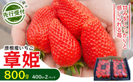 ys\z ͕P Ђ 800g i400g × 2pbNj C`S 