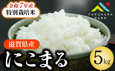 特別栽培米 にこまる 5kg 令和7年産 特別栽培米