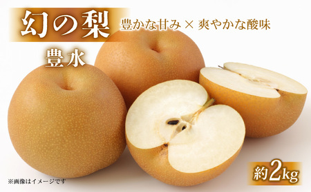 梨 約2kg 彦根梨 豊水 9月発送 梨 梨 梨 梨 梨