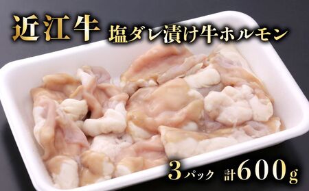 特選近江牛ホルモン(塩だれタレ漬け)200g×3 計600g[近江牛A5ランクメス牛一頭買い みのや]