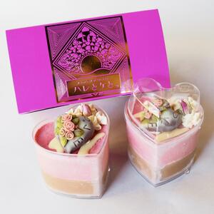 ヴィーガンケーキ2個入りアソートギフト「Just the Two of Us」