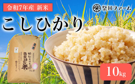 数量限定 先行予約 新米 コシヒカリ 10kg 玄米 玄米 玄米 玄米 玄米