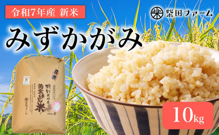 数量限定 先行予約 新米 玄米 みずかがみ 10kg 玄米 玄米 玄米 玄米