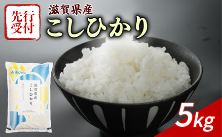 コシヒカリ 白米5kg 令和7年産先行受付 コシヒカリ コシヒカリ コシヒカリ コシヒカリ コシヒカリ