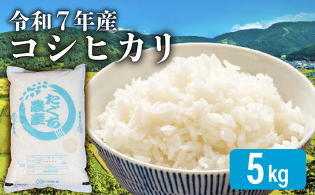 先行予約 令和7年産 こしひかり 5kg×1袋 新米 米 精米 コメ お米 白米 ご飯 コシヒカリ 5kg 1袋 令和7年 滋賀 彦根
