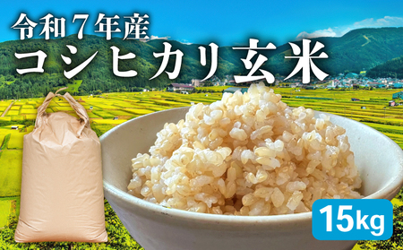 先行予約 新米 コシヒカリ 15kg 玄米 玄米 玄米 玄米 玄米