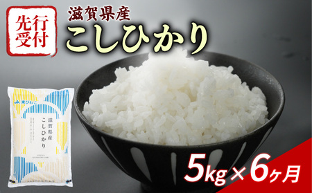 【R7年産新米予約】【6ヶ月定期便】 こしひかり 5kg×6回 白米 精米 JA東びわこ 滋賀 彦根(2025年10月より発送予定)