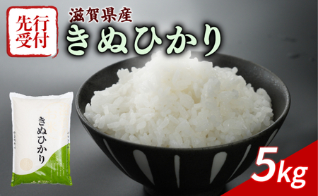 新米 令和7年産 きぬひかり 5kg 新米新米新米新米新米