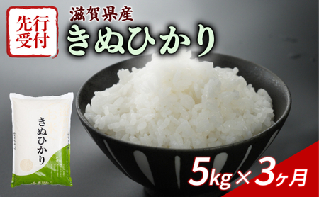 米定期便 令和7年産 きぬひかり 5kg×3ヶ月 米定期便 米定期便 米定期便 米定期便 米定期便