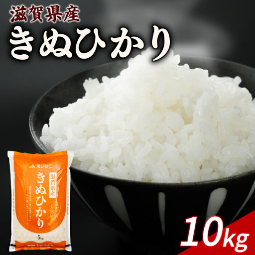 きぬひかり 白米10kg キヌヒカリ (令和7年産米)