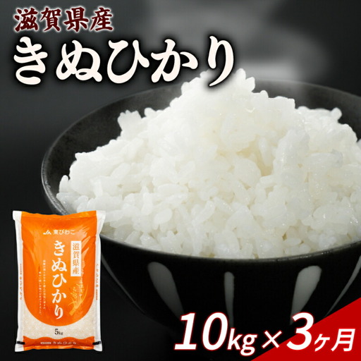 【3ヶ月定期便】きぬひかり 10kg 令和7年産 キヌヒカリ 定期便 お米 米