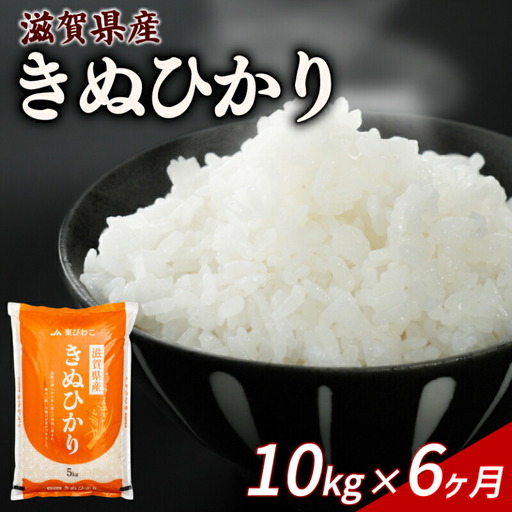 【6ヶ月定期便】きぬひかり 10kg 令和7年産 キヌヒカリ 定期便 お米 米