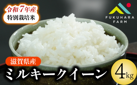 特別栽培米 ミルキークイーン 4kg(2kg ×2) 令和7年産 先行受付 特別栽培米 ミルキークイーン ミルキークイーン