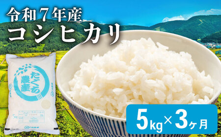 新米 令和7年産 こしひかり 5kg 3kagetub 定期便 新米 新米 新米 新米 新米 新米