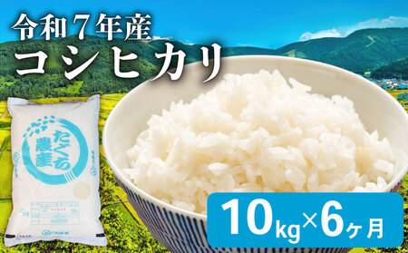 y6ցz Ђ  10kg 