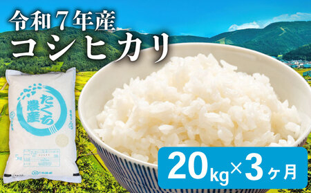 y3ցz Ђ  20kg 