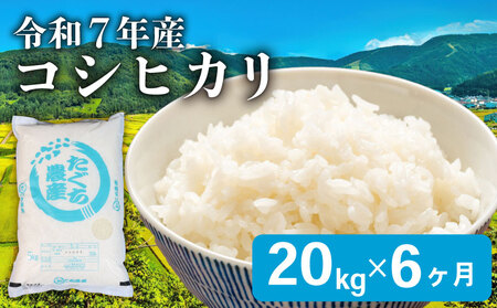 y6ցz Ђ  20kg 