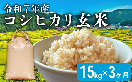『新米予約』令和7年産 こしひかり [玄米]15kg 定期便 3ヶ月