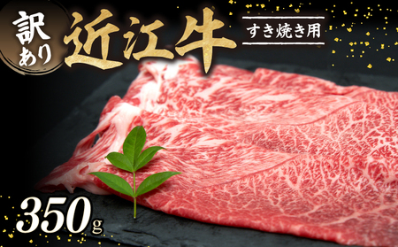 y󂠂zߍ] Ă 350g  ʌ A5N    Ԑg TV Y  lC  Ԑg ~ {Oa 10000~ 1~  F