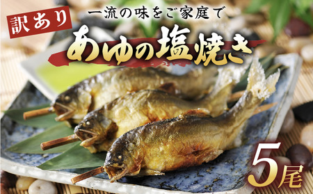 訳あり あゆの塩焼き 5尾