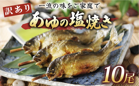 󂠂舼̉Ă 10 ꌧY ̉Ă