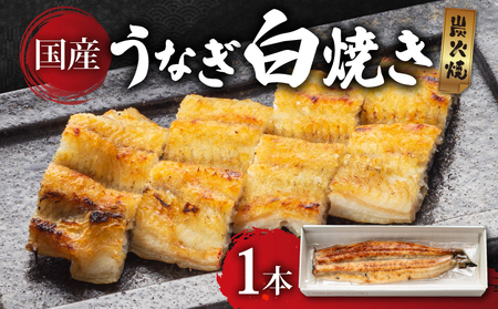 うなぎ 白焼き 1本