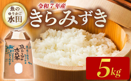 [令和7年産新米]減農薬米 近江米 きらみずき 白米 5kg [ishidera01] 白米