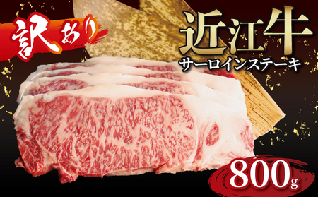 yzߍ] T[CXe[L 4iv800gjmgyasuke03] /ߍ]