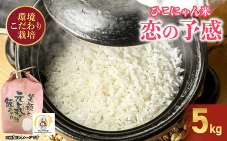 yVāz̗\ 5kg ߘa7NY V ꌧ Fs