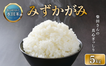 [数量限定 令和7年産] 新米 みずかがみ 5kg 白米 米 コメ お米 ひこにゃん米 環境こだわり栽培 ご飯 ごはん 令和7年 7年 10月 順次発送 滋賀 彦根