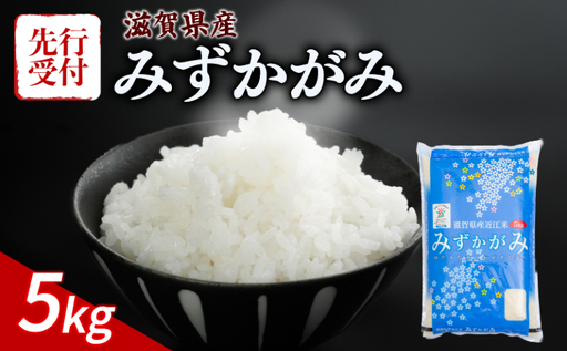 先行予約 令和8年産 新米 みずかがみ 5kg
