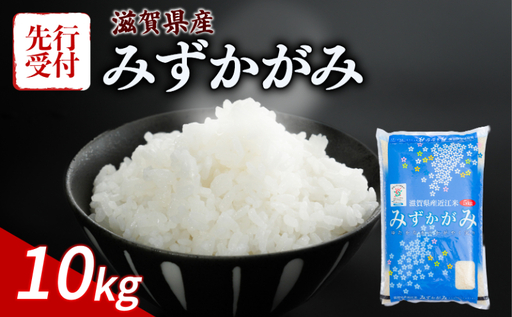 [先行予約] みずかがみ 新米 新米 10kg 令和8年度産