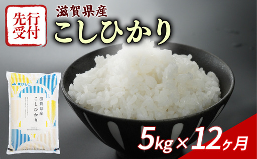 令和8年産 新米 先行予約 こしひかり 5kg 12回定期便 新米