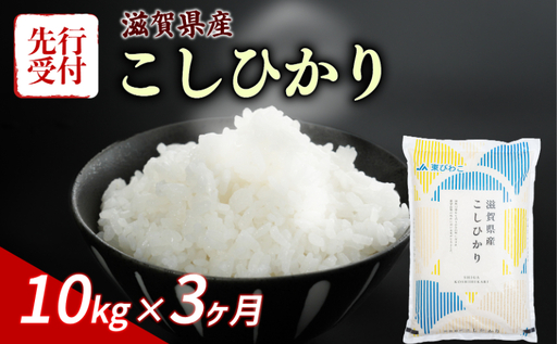 [令和8年産] 先行予約 新米 こしひかり 10kg (5kg×2) 3回定期便 令和8年産 定期便 米 コシヒカリ