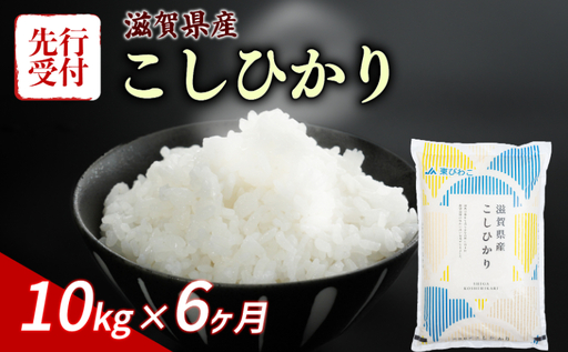 【令和8年産】 先行予約 新米 こしひかり 10kg (5kg×2) 6回定期便 令和8年産 定期便 米 コシヒカリ